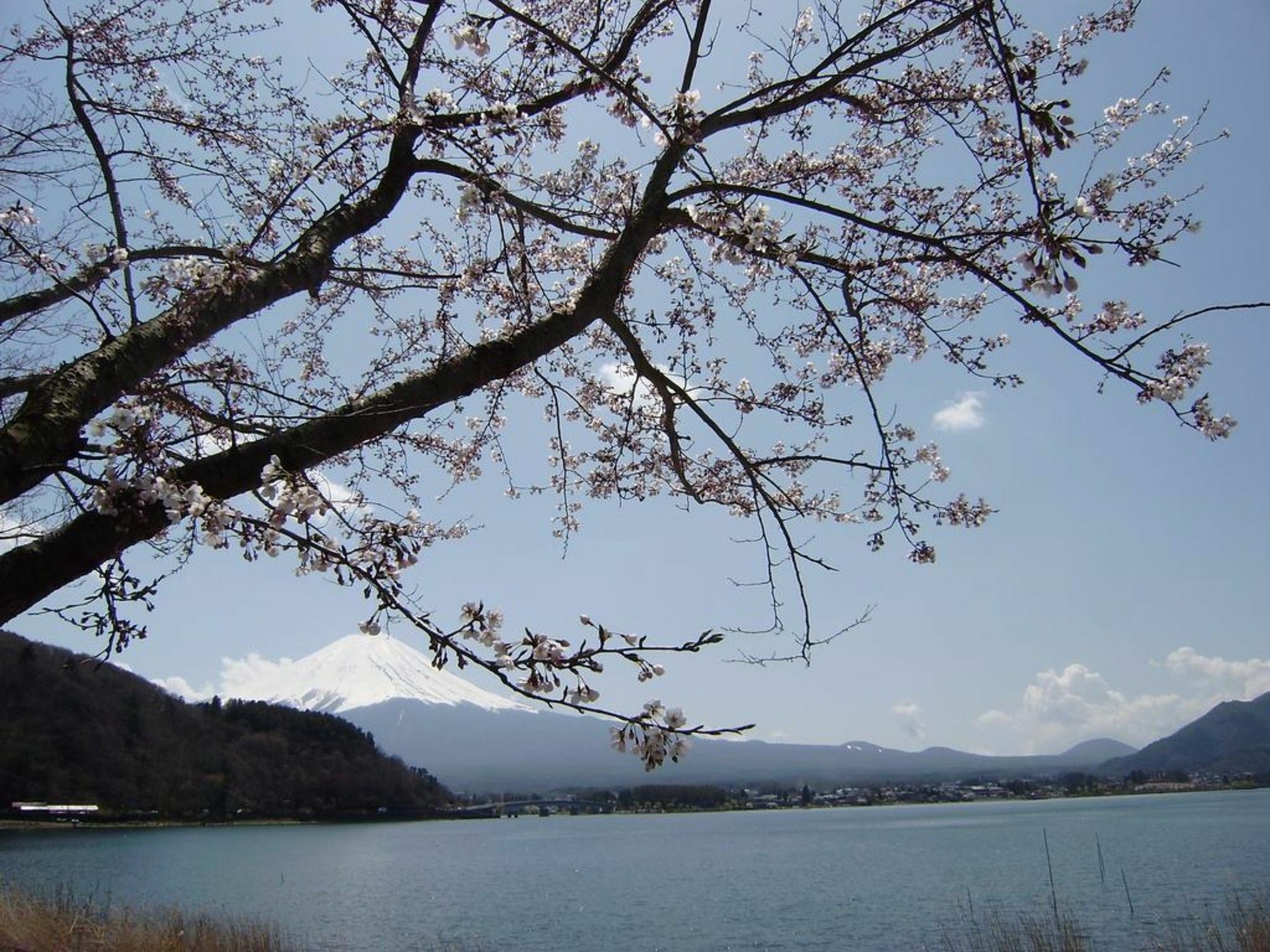 Villa Lupinus Kawaguchiko Fujikawaguchiko Exterior foto